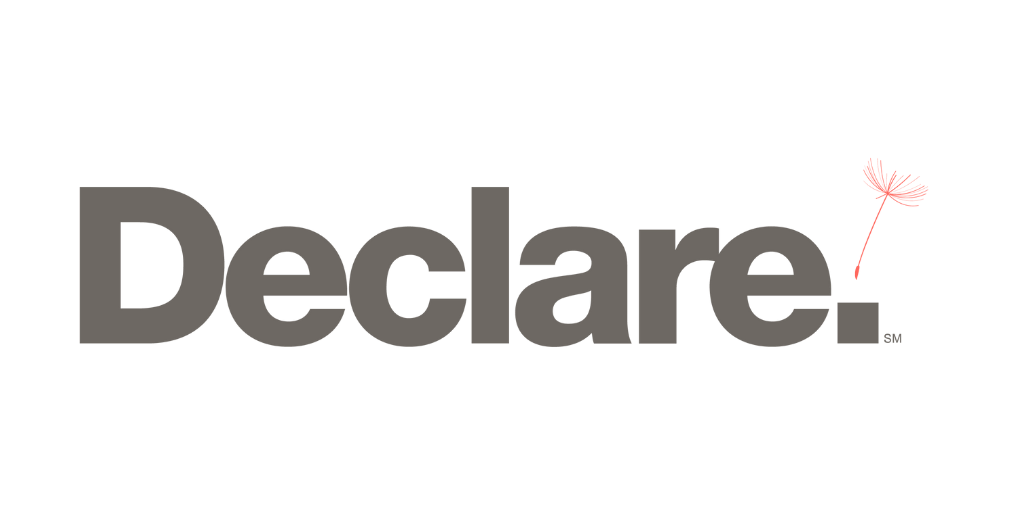 Declare Logo (2_1)